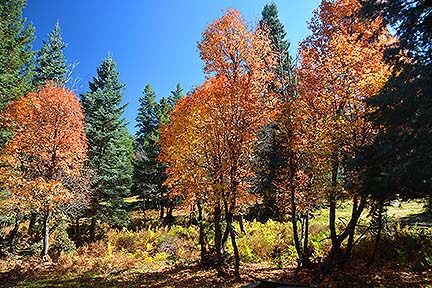 Mogollon Rim, October 23, 2014